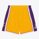 Mitchell & Ness Ανδρικό σορτς Los Angeles Lakers 2009-10 NBA Swingman Basketball Shorts
